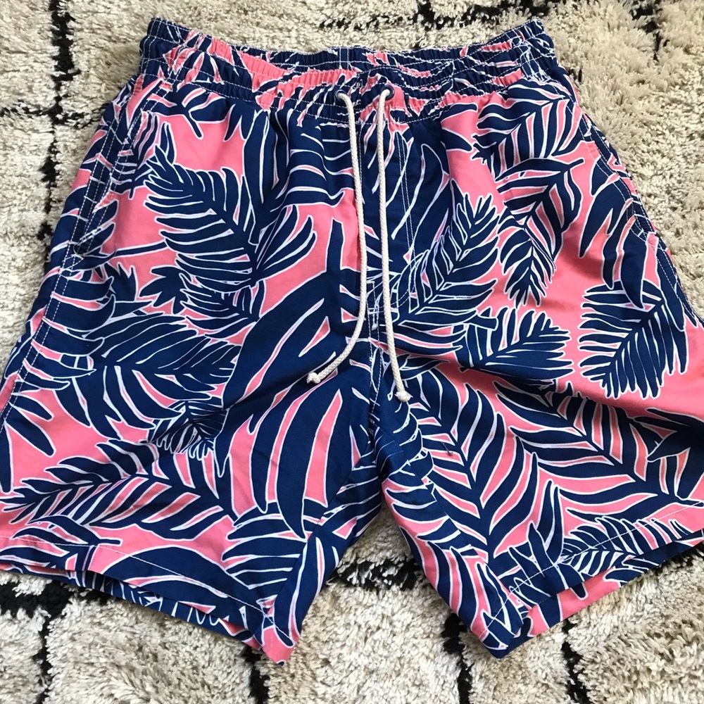 Mens Pink and Blue Bathing Suit